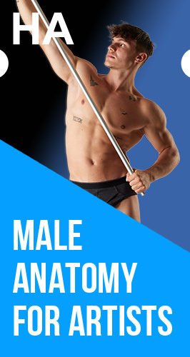 human-anatomy
