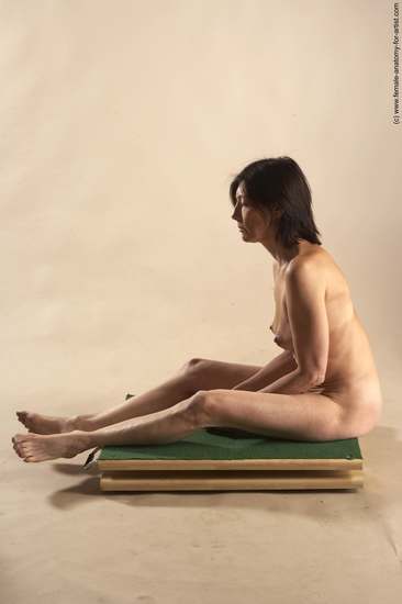 Nude Woman White Sitting poses - ALL Underweight short brown Sitting poses - simple Pinup