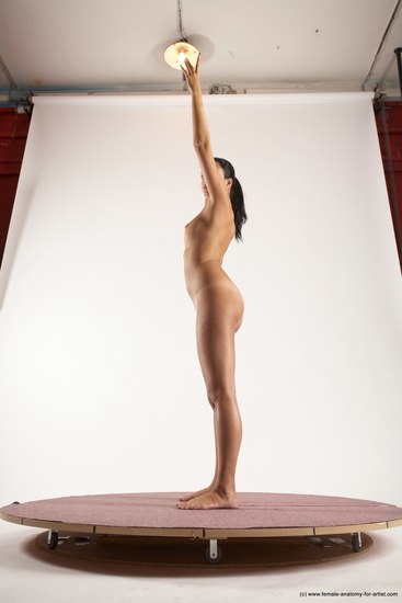 Nude Woman White Standing poses - ALL Slim long brown Standing poses - simple Multi angle poses Pinup