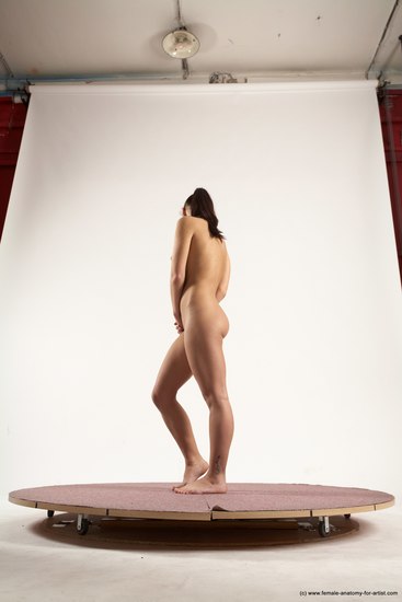 Nude Woman White Standing poses - ALL Slim long brown Standing poses - simple Multi angle poses Pinup