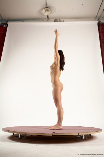 Nude Woman White Standing poses - ALL Slim long brown Standing poses - simple Multi angle poses Pinup