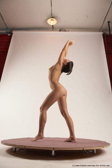 Nude Woman White Standing poses - ALL Slim medium brown Standing poses - simple Multi angle poses Pinup