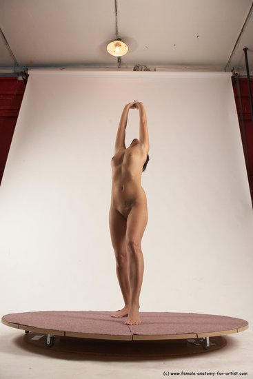 Nude Woman White Standing poses - ALL Slim medium brown Standing poses - simple Multi angle poses Pinup