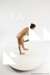 hortenzie standing 12a