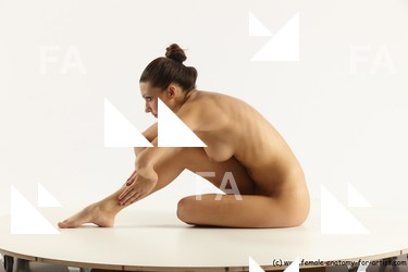 hortenzie sitting 01b