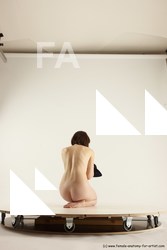 sitting reference of nikola 11c