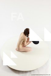 sitting reference of nikola 14a