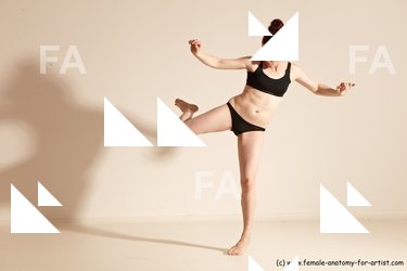 thaibox reference 02 09