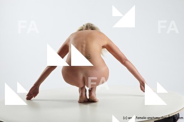 various reference of marjorie 29