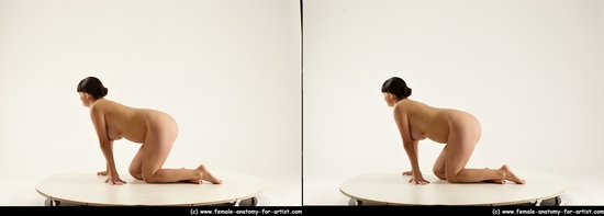 Nude Woman White Kneeling poses - ALL Pregnant Kneeling poses - on both knees long brown 3D Stereoscopic poses Pinup