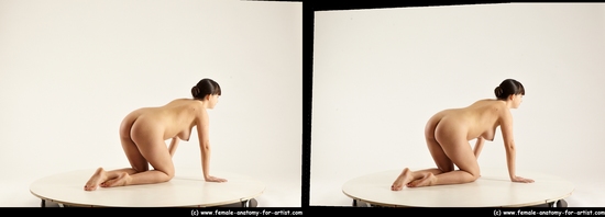 Nude Woman White Kneeling poses - ALL Pregnant Kneeling poses - on both knees long brown 3D Stereoscopic poses Pinup