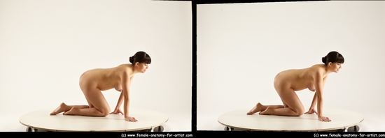 Nude Woman White Kneeling poses - ALL Pregnant Kneeling poses - on both knees long brown 3D Stereoscopic poses Pinup