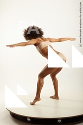 various reference of holly 04