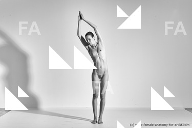 Nude Gymnastic poses Woman White Moving poses Slim long brown Dynamic poses Pinup