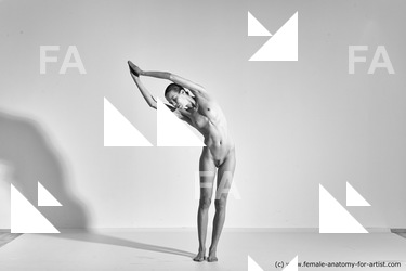 Nude Gymnastic poses Woman White Moving poses Slim long brown Dynamic poses Pinup