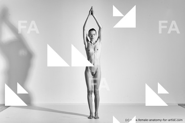 Nude Gymnastic poses Woman White Moving poses Slim long brown Dynamic poses Pinup