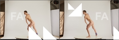 Nude Woman White Standing poses - ALL Underweight medium brown 3D Stereoscopic poses Pinup