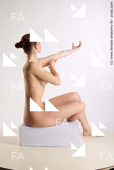 Nude Woman White Sitting poses - ALL Slim long brown Sitting poses - simple Standard Photoshoot Pinup