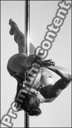 Pole Dance reference poses Fannie