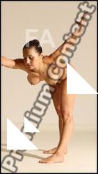 Gymnastic reference poses of Fannie