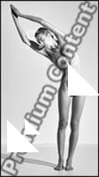 Gymnastic reference poses Tracey