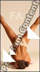 Gymnastic reference poses of Mercedes