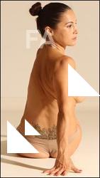 Gymnastic reference poses of Fannie