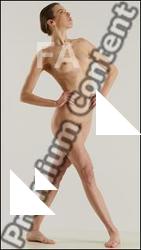 Stereoscopic 3D reference poses Tracey