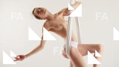 Aerial silk reference poses Tracey