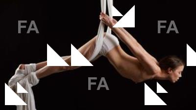 Aerial silk reference poses Tracey