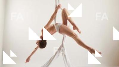 Aerial silk reference poses Tracey