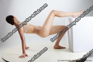 lying reference sutton 05